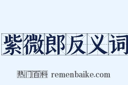 紫微郎反义词是什么意思的图片